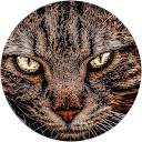 Jude Black profile picture